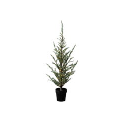 Cedar Tree Green 100cm - Milas
