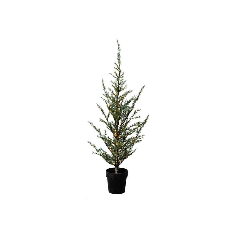 Cedar Tree Green 100cm - Milas
