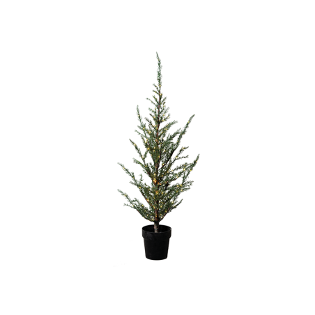 Cedar Tree Green 100cm - Milas