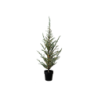 Cedar Tree Green 100cm - Milas