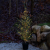 Cedar Tree Green 130cm - Milas