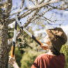 Podadora Bypass Powergear X M LX94 FISKARS