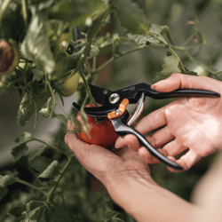 FISKARS Solid Metal Pruner Bypass P131 Ø18mm