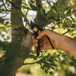 Tijera de Podar Plus Smartfit P541 Sistema Bypass Ø24mm à Ouverture Variable  FISKARS
