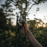 FISKARS Plus Powerlever Pruner Bypass P721 Ø24mm