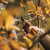 FISKARS Xseries Powergear Pruner Bypass L P961 Ø26mm