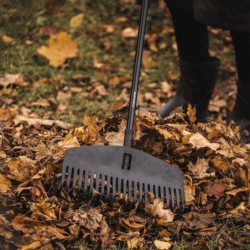 Cabeça Ancinho Folhas Solid M 42cm FISKARS
