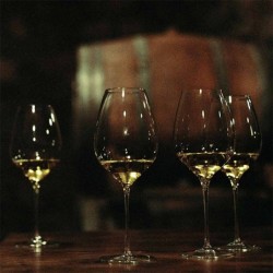 Set of 2 Wine Glasses - Masterclass 70 Excellence