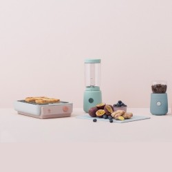 Flatbed Toaster Light Rose - Foodie