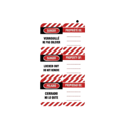 THIRARD 50 Pieces Permanent Trilingual Labels
