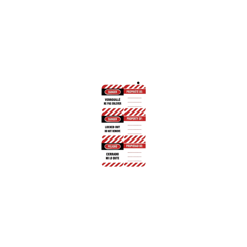 THIRARD 50 Pieces Permanent Trilingual Labels