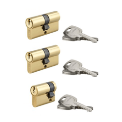 3 THIRARD Brass Cannons for European Locks STD 30x30mm