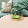 Vase With Stand Ø10Cm - Globe