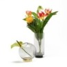 Vase Ø11Cm - Vitreus