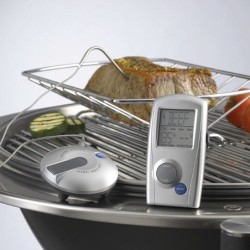 Digital Thermometer (Wireless)