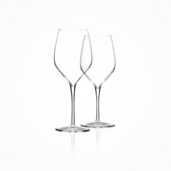 Set of 6 Wine Glasses - Vertical Medium