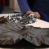Centrepiece - A Lotus Leaf