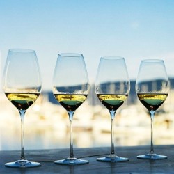 Set of 6 Wine Glasses - Masterclass 48