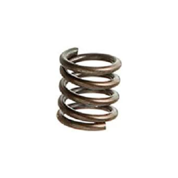 TORSION SPRING