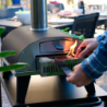 Pizza Oven Charcoal - Piana
