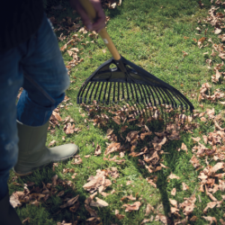 Escova Limpeza Relva 65cm FISKARS