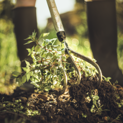 Horca De Jardin 3 Dientes Xacttm FISKARS
