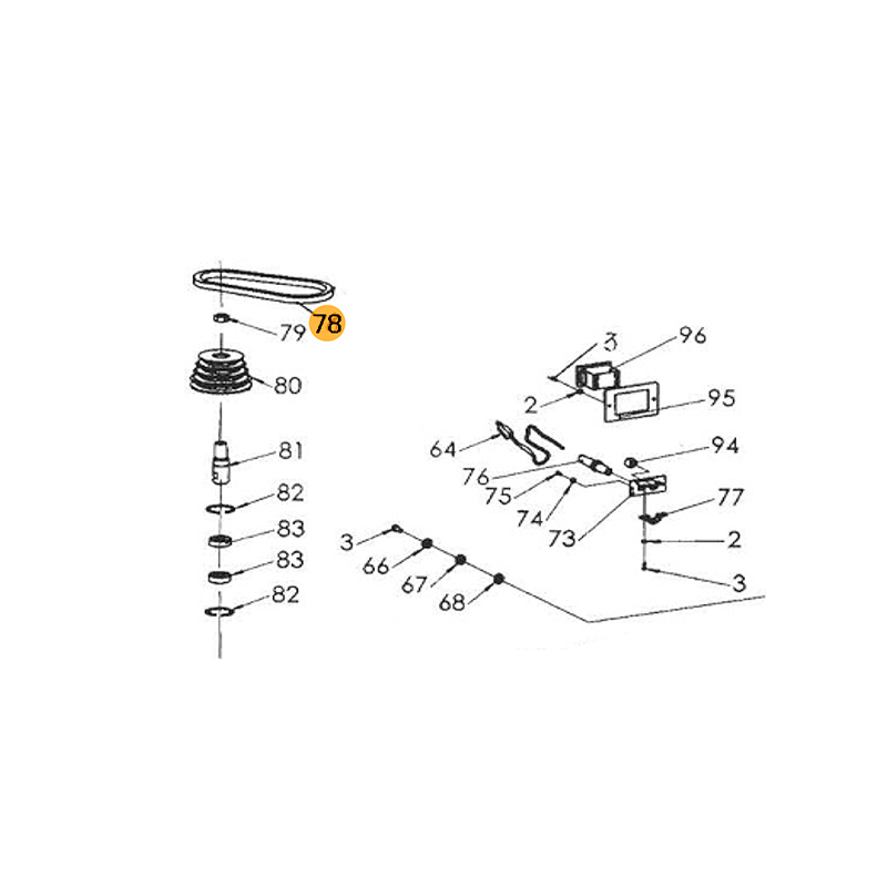 Juego de 2 correas para F11991 FOX
