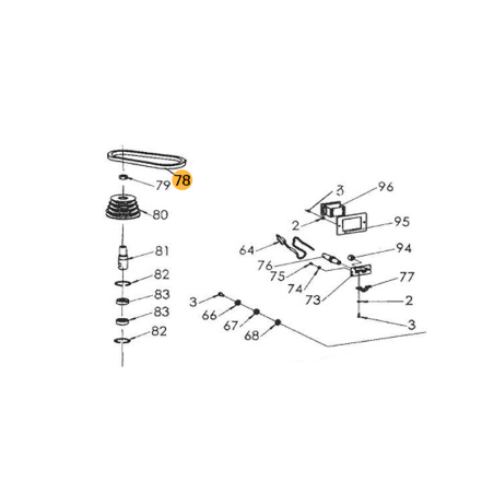 Juego de 2 correas para F11991 FOX