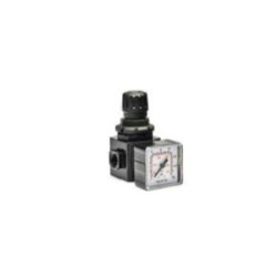 Regulador de Pressão E/15/1 - 1/8F BSP ANI