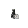 Regulador de Pressão E/15/1 - 1/8F BSP ANI