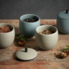 Tea Jar Bonsai 400ml - Nesuto
