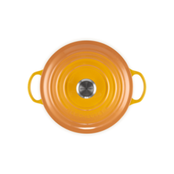 Caçarola Marmita de Ferro Fundido 26cm Nectar