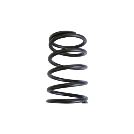 Plunger spring 3.4x36x58 for AP pump
