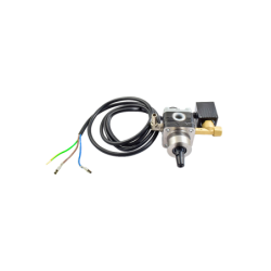 Fuel pump with solenoid valve