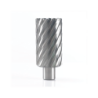 BROCA CRANEANA HSS Ø25X100MM