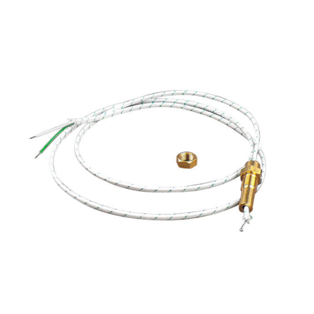 Temperature sensor for overtemp. trip