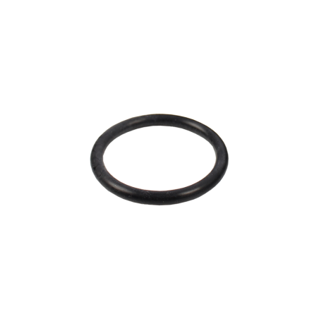 O-RING 24 x 2,0