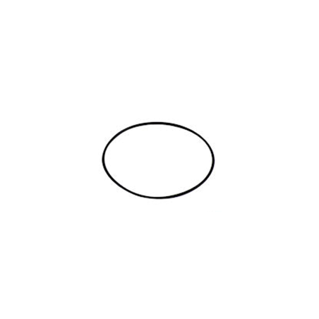 O-RING 75,92X1,78
