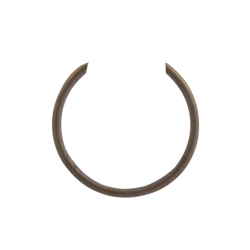 Rataining ring