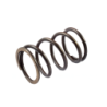 plunger spring 4.5x36x63 for AM pump