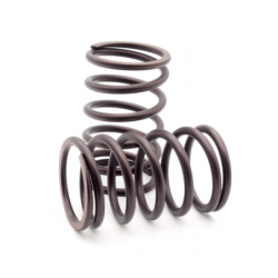 Plunger spring K4.7x36x69 for AQ pump