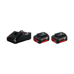 BOSCH 2 Batteries GBA 18V 4.0AH + GAL 18V-40 Professional