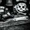 GERBER Straightlace Modern Folding FSG