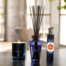 Vaporizador 100ml - Benjoim e Almíscar