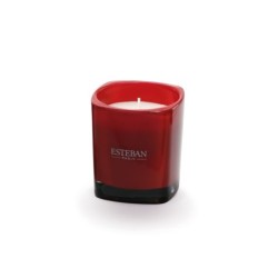Scented Candle Lilac And Tonka