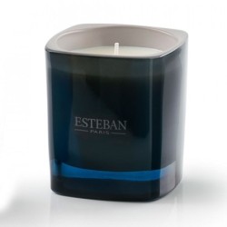 Scented Candle White Rosa And Orris Absolute