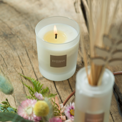 Scented Bouquet 100ml - Garrigue Fig Tree