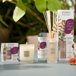 Scented Bouquet 100ml - Garrigue Fig Tree