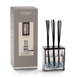 Bouquet Perfumado Triptyque 250ml Cedre