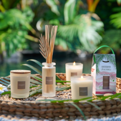 Scented Candle 180gr - Monoï and Moringa